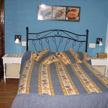 Casa Aralia